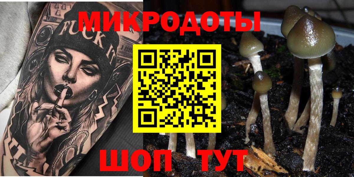 Великий Новгород  Псилоцибиновые грибы мицелий  Псилоцибиновые грибы Cubensis  Вход с VPN 